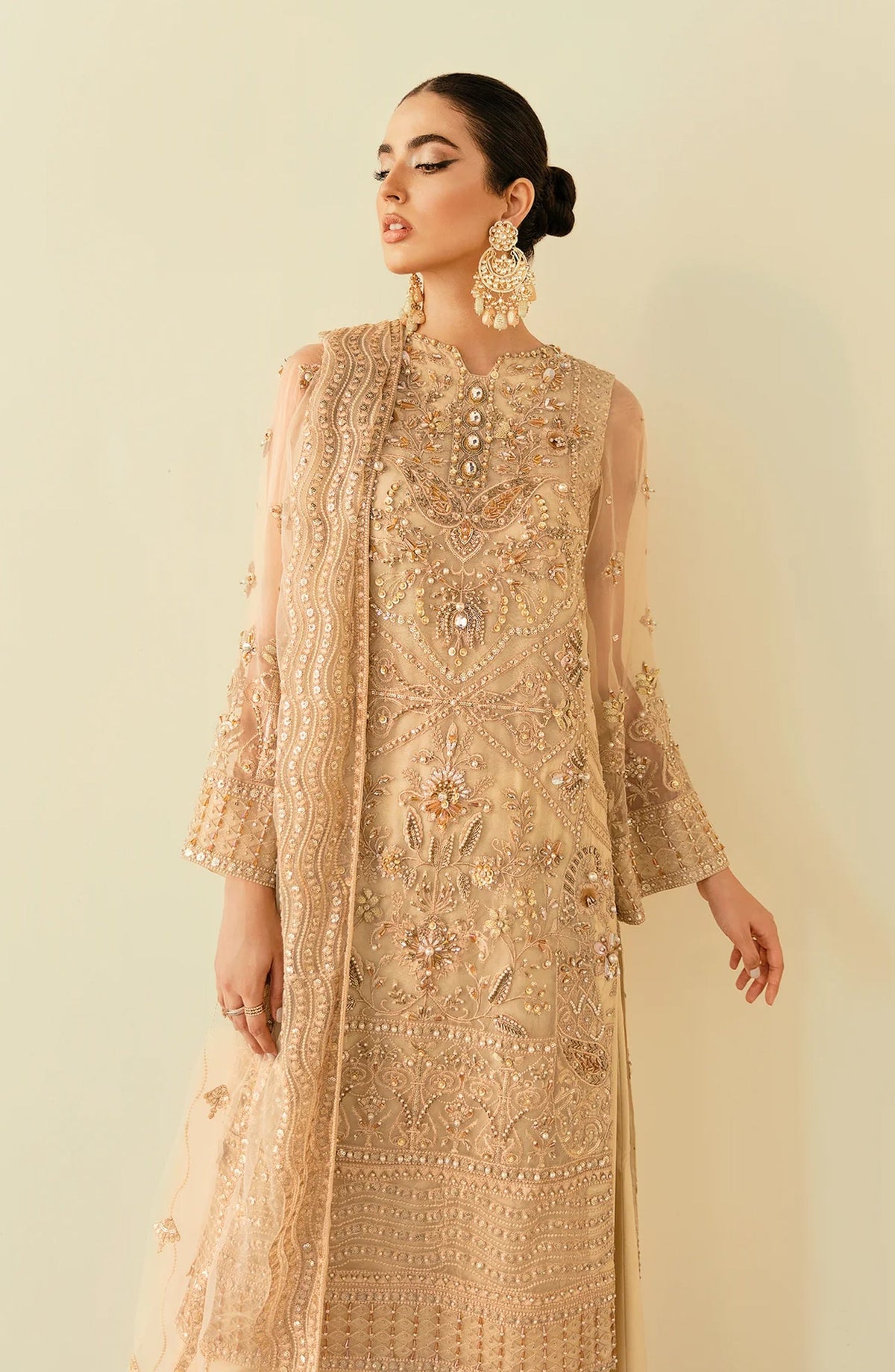 Elinor by Akbar Aslam Luxury Embroidered Organza Unstitched 3 Piece Suit - Amazona - AKA25ELN - Fawn - Festive Collection