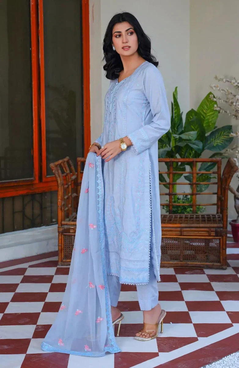 Thread Weaves Karandi Embroidered Collection - KR 24101