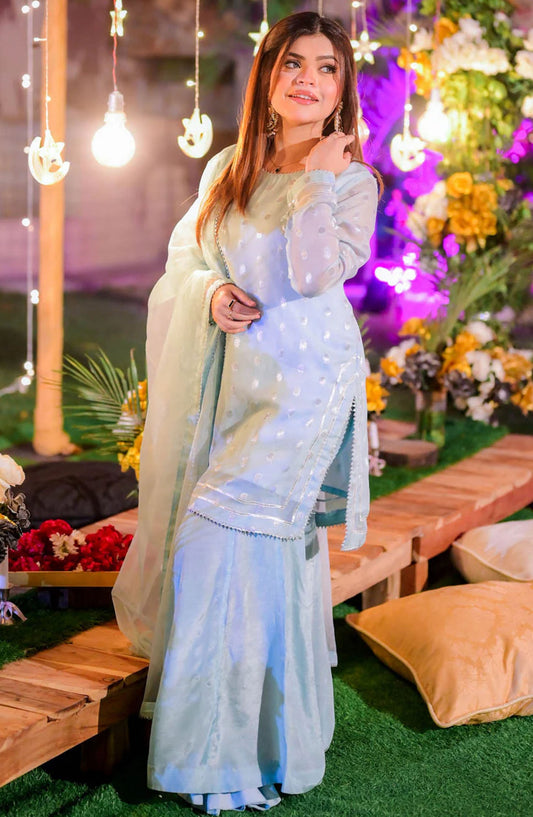 TNG Embroidered Chiffon Stitched 3 Piece Suit - AR-001794 Chandni - TNG25EC - Blue - Festive Collection