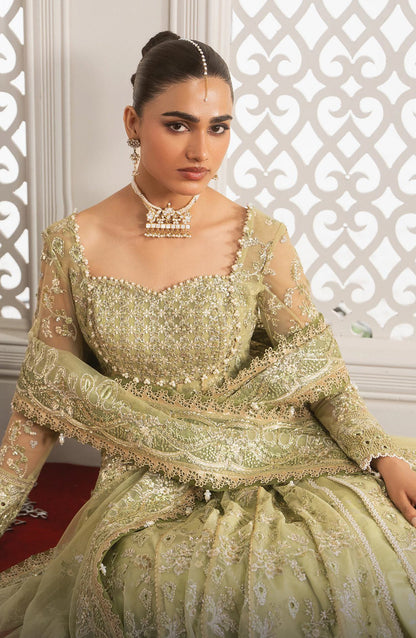 Afrozeh Aure Embroidered Net Unstitched 3 Piece Suit - 05 Theodara - AF26AUR - Dhani - Formals Collection