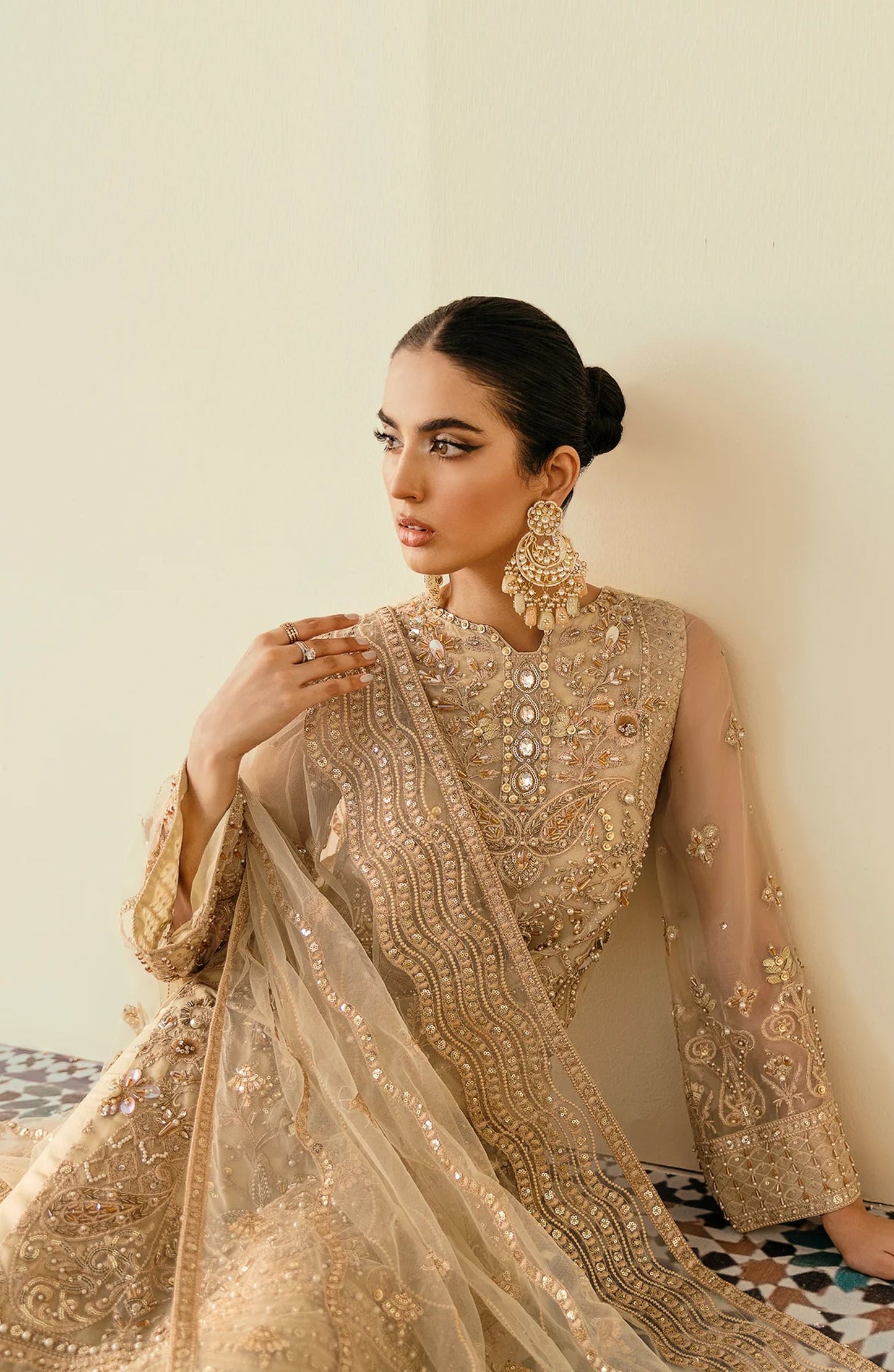 Elinor by Akbar Aslam Luxury Embroidered Organza Unstitched 3 Piece Suit - Amazona - AKA25ELN - Fawn - Festive Collection