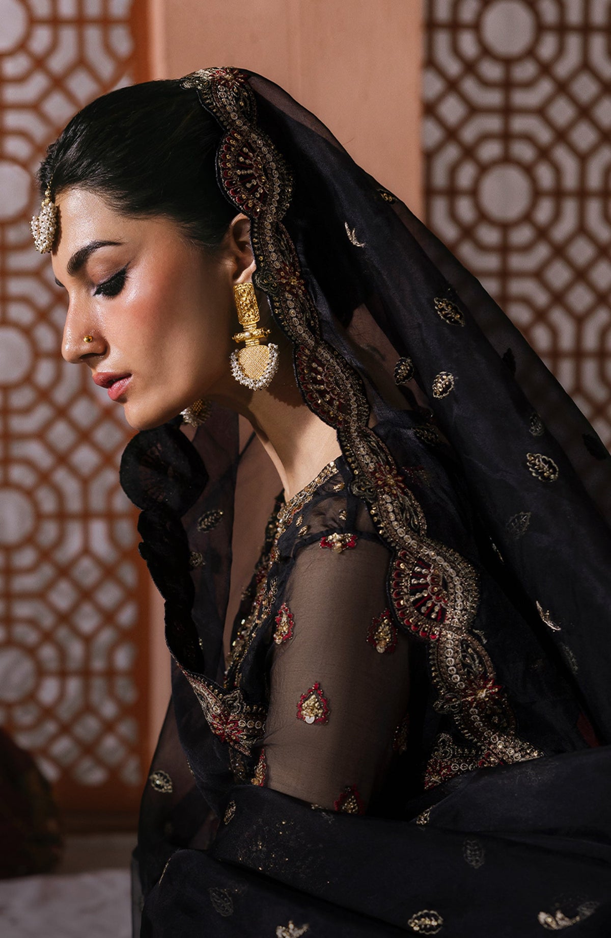 Sultaniya by Akbar Aslam Luxury Embroidered Organza Unstitched 3 Piece Suit - Mehtab - AKA25SULT - Black - Formals Collection