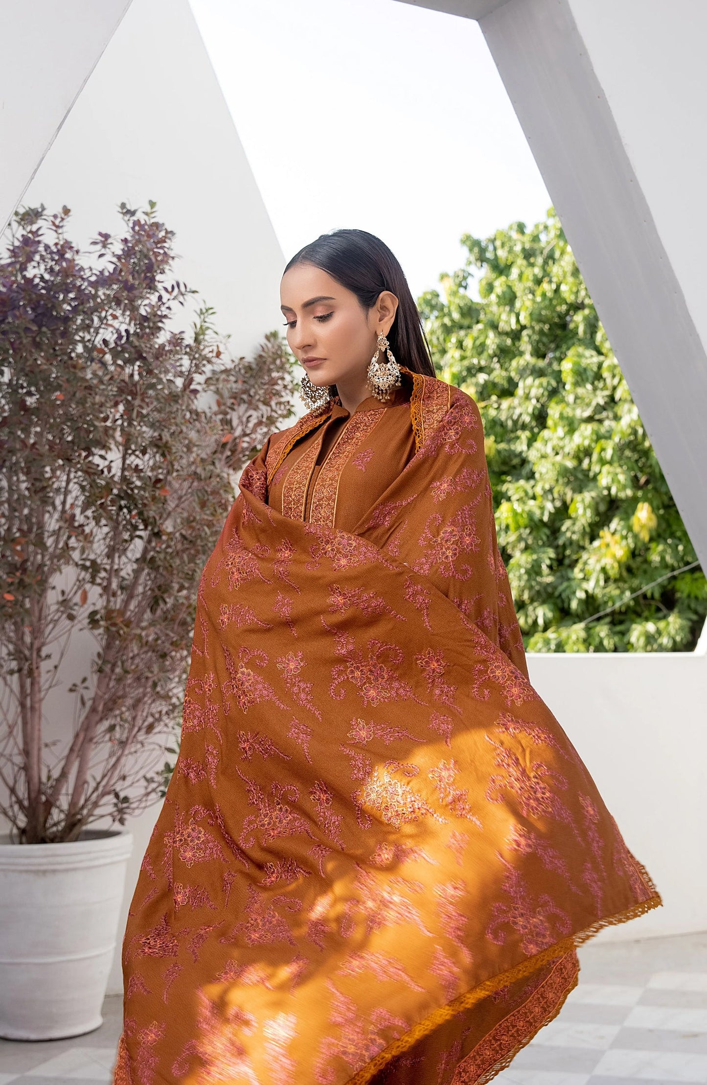 Threads N Weaves Embroidered Dhanak Unstitched 3 Piece Suit - D23104 - TNW25WD - Cinnamon Brown - Winter Collection