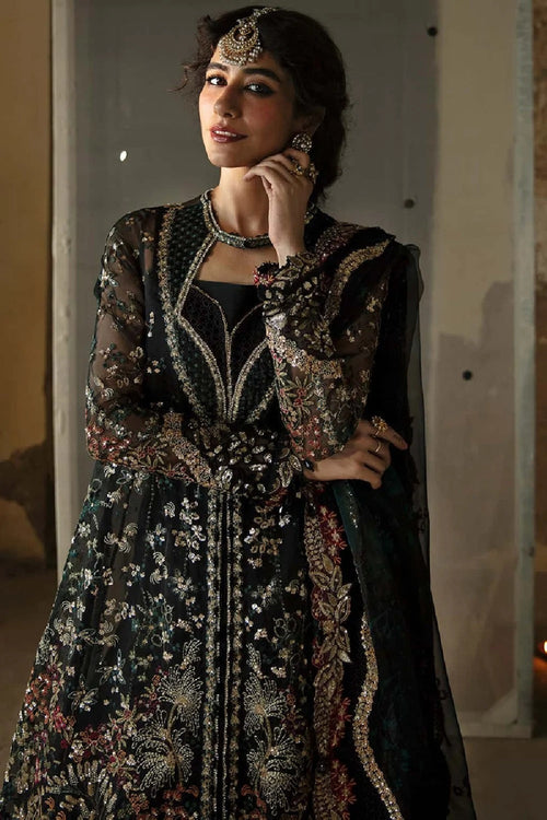 Afrozeh MEERA Hayat Wedding Formals Edition - TC-1745