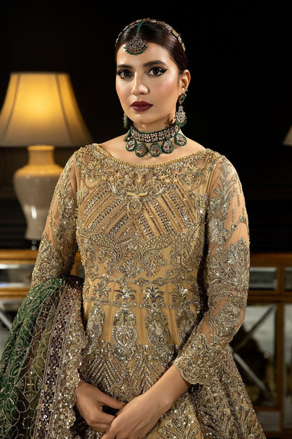 Andaaz-e-Khaas by Imrozia Premium Embroidered Net Maxi | IB-43 Diya - TC-1815